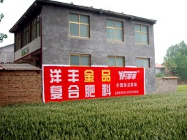 岑溪如何让墙体广告展现最大化效果