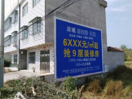 岑溪墙体广告质量分析