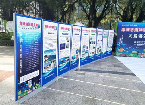 岑溪KT板的种类和知识。